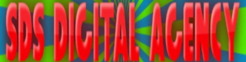 big banner logo SDS-digital